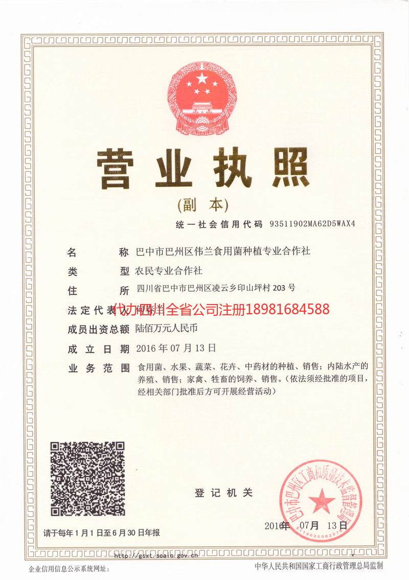 晋江晋江伟兰食用菌种植专业合作社